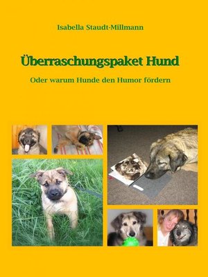 cover image of Überraschungspaket Hund